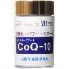 (株)アーテム アーテム エネルギーサポート CoQ-10 40粒