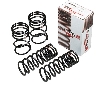 (株)ティエムシー RS-R RS R ダウンサス Ti2000 ANH20W