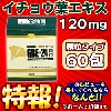 アサヒフードアンドヘルスケア GBE−24顆粒フォルテ120mg 60包 商品 4946842829095