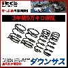 辰巳屋興業(株) レーシングギア RG ミラ ダウンサス SD027A サス