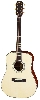 荒井貿易(株) ARIA Dreadnought AD-511 N /アリア