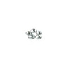 (有)ナガオ通商 スワロフスキーSWAROVSKI ss34 クリスタル 12P